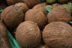 coconuts Mawlamyine
