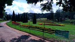 National Kandawgyi Gardens photo