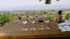 Red Mountain Estate Winery photo